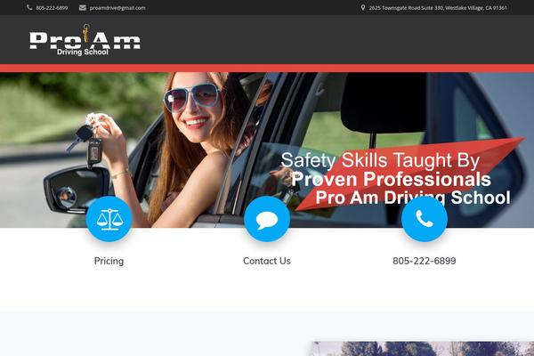 proamdriver.com site used Mesmerize