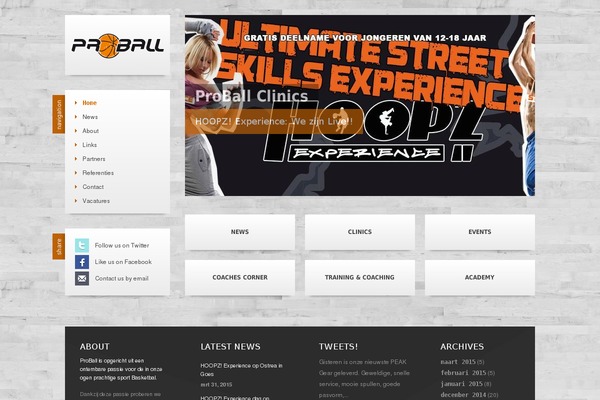 proball.nl site used Theme1445