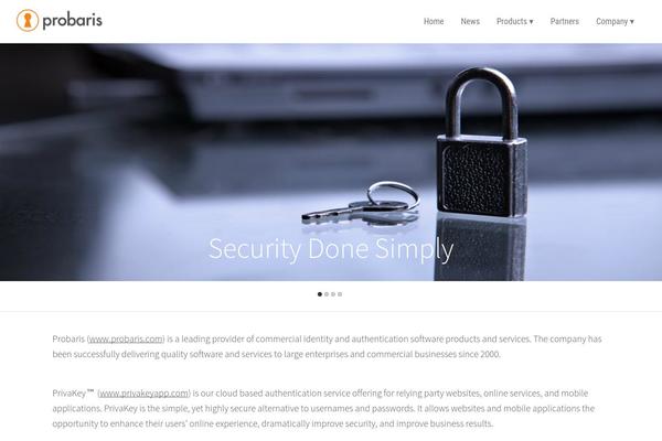 Business Leader theme site design template sample
