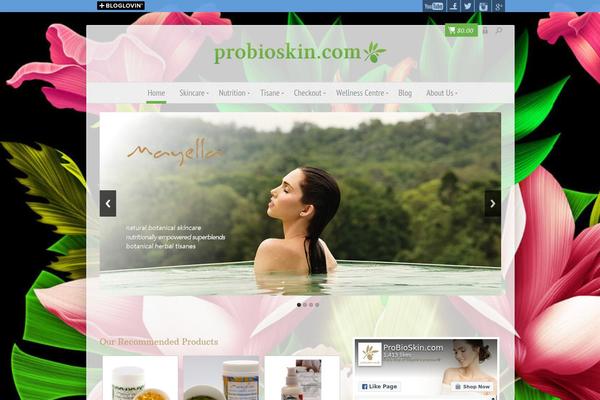 Enfinity theme site design template sample