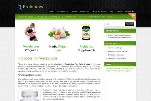 Colorbold theme site design template sample