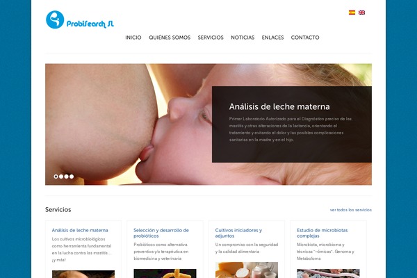 Solid Wp theme site design template sample