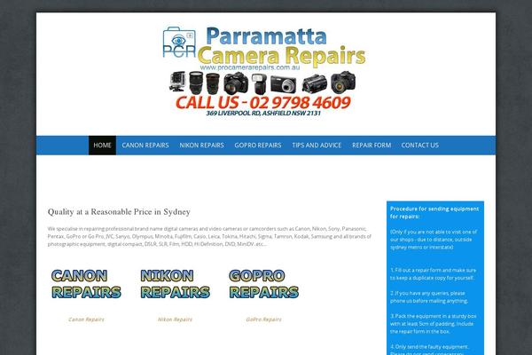 Pure & Simple theme site design template sample