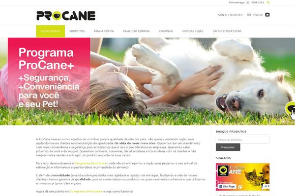 TopShop theme site design template sample