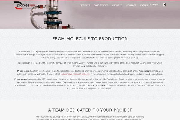 processium.com site used Waka_processium