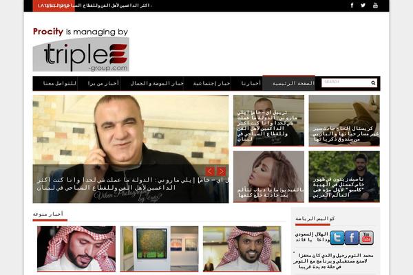 ProfitMag theme site design template sample