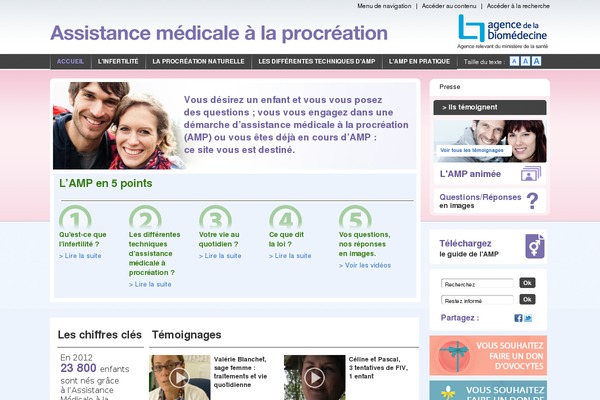Amp theme site design template sample