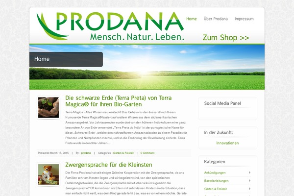 Ecobiz theme site design template sample