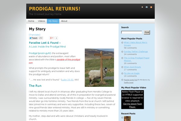 Site using Google AJAX Translation plugin