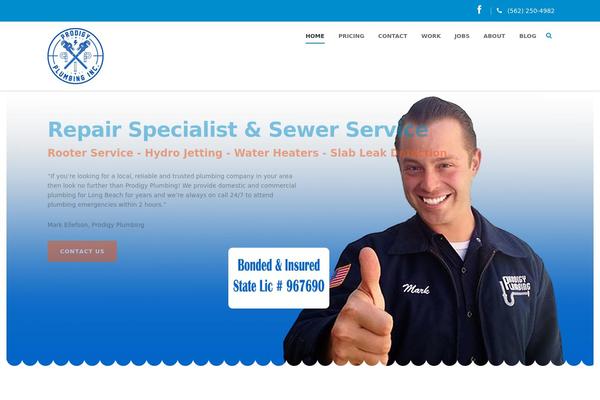 prodigyplumbinglbc.com site used Plumbers-pro