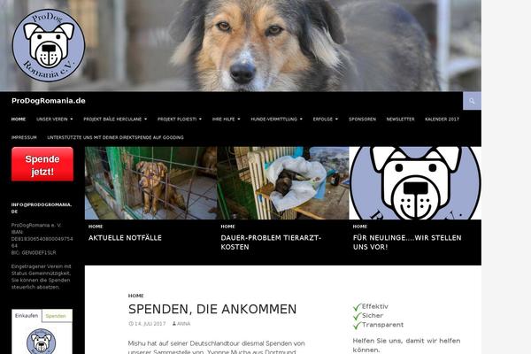 prodogromania.de site used Divi Child