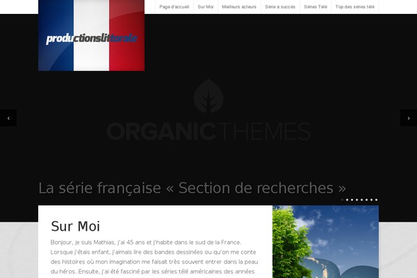 Site using Flickr Badges Widget plugin