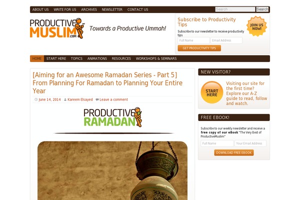 Site using Socialsnap-pro plugin