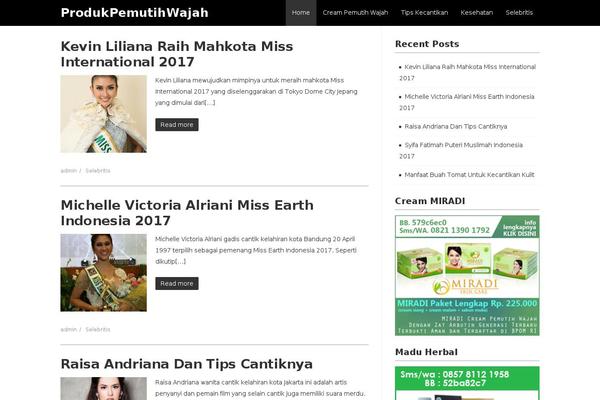 Site using SEO Auto Links & Related Posts plugin