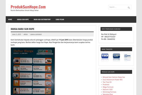 Dynamic News Lite theme site design template sample