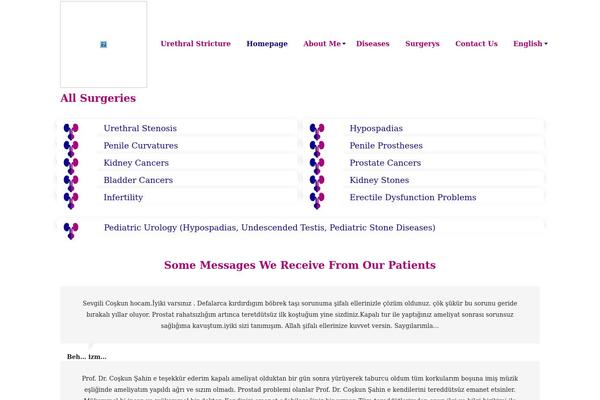 Site using Media Grid plugin