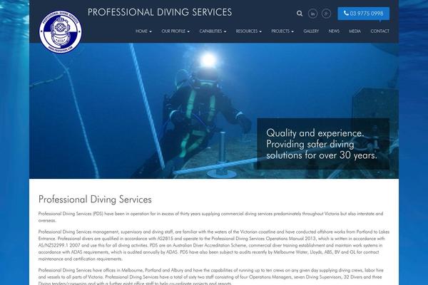 profdivers.com site used Webalive