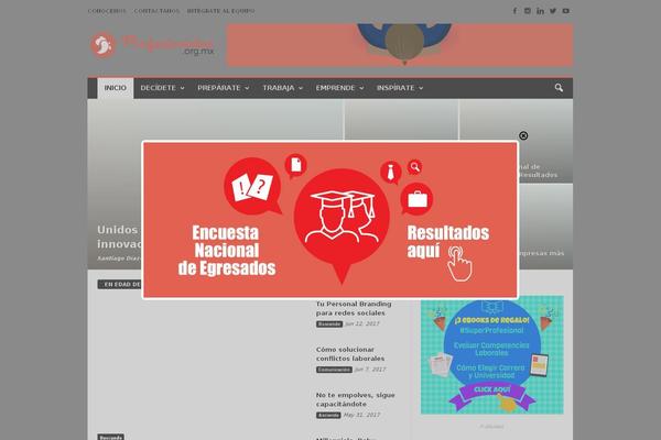 Newspaper Child theme site design template sample