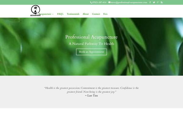 Divi theme site design template sample