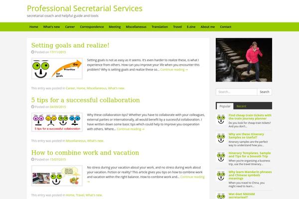 professional-secretarial-services.com site used Pss