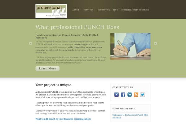 professionalpunch.com site used Coffee Break