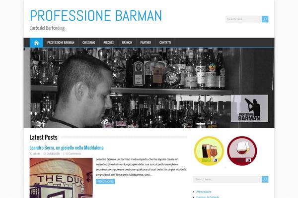 HappenStance theme site design template sample