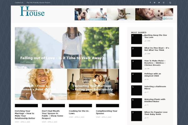 Site using Perfmatters plugin