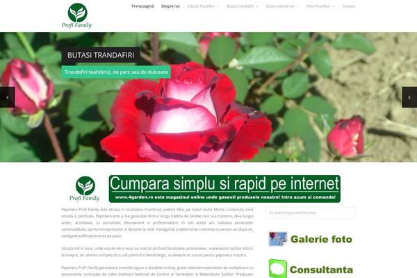 Elegant theme site design template sample