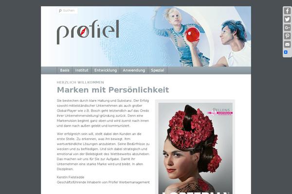 Pinnacle Premium theme site design template sample
