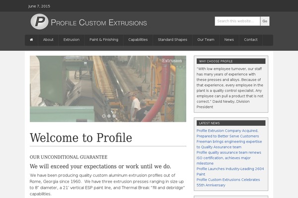 Profile theme site design template sample