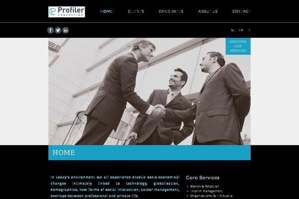 profiler theme websites examples