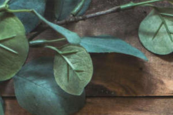 Site using Image-hover-effects-addon-for-elementor plugin