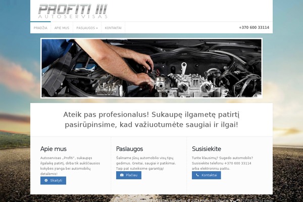 WordPress website example screenshot