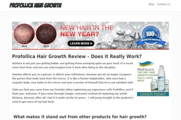Focusblog theme site design template sample