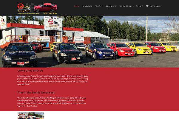 Renden_pro theme site design template sample