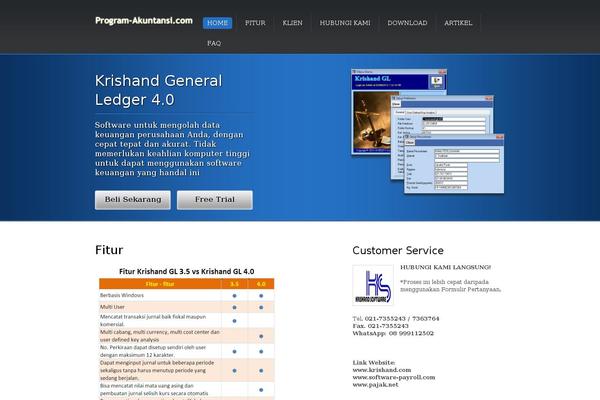 Figero theme site design template sample