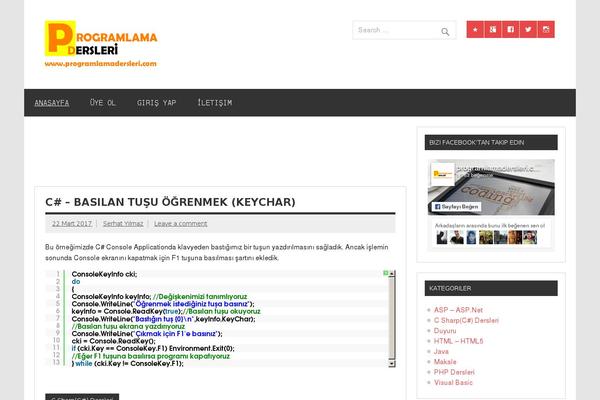 Dynamic News Lite theme site design template sample