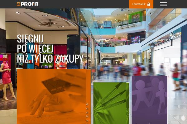 Profit theme site design template sample