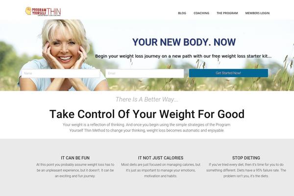 Optimizer_pro theme site design template sample