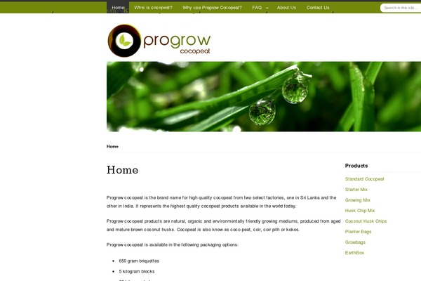Schema theme site design template sample