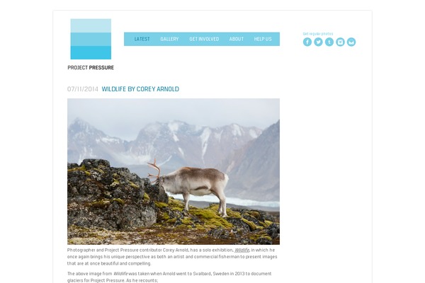 Pp theme site design template sample
