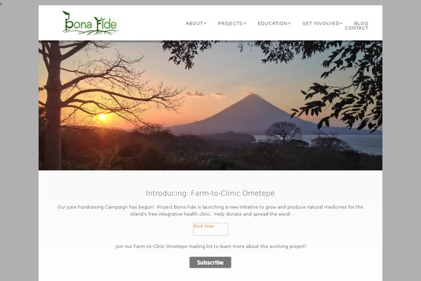 Dandelion theme site design template sample