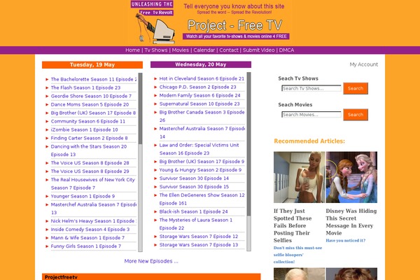 flick theme websites examples