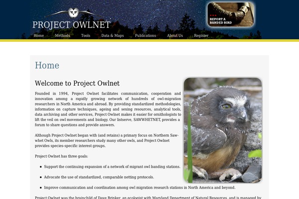 Social theme site design template sample