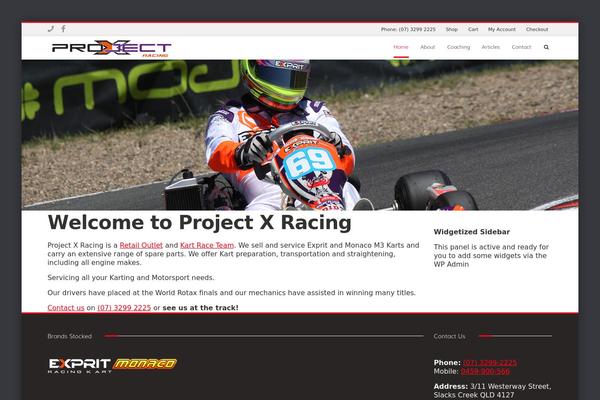 Minicorp theme site design template sample