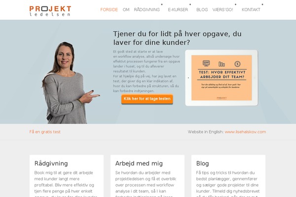 DesignByLindemediaV1 theme websites examples