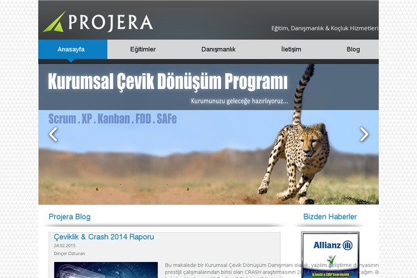 Multipress theme site design template sample