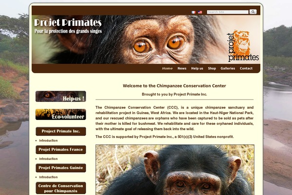 Site using CafePress Widget plugin
