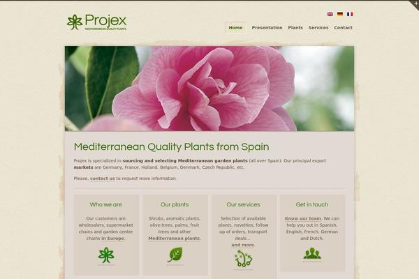 Organic Web theme site design template sample