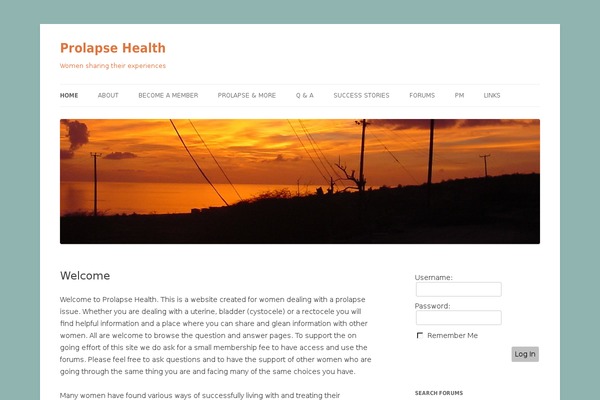 Site using bbP Signature plugin